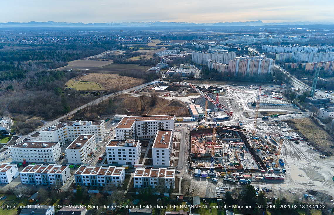18.02.2021 - Alexisquartier und Pandionverde