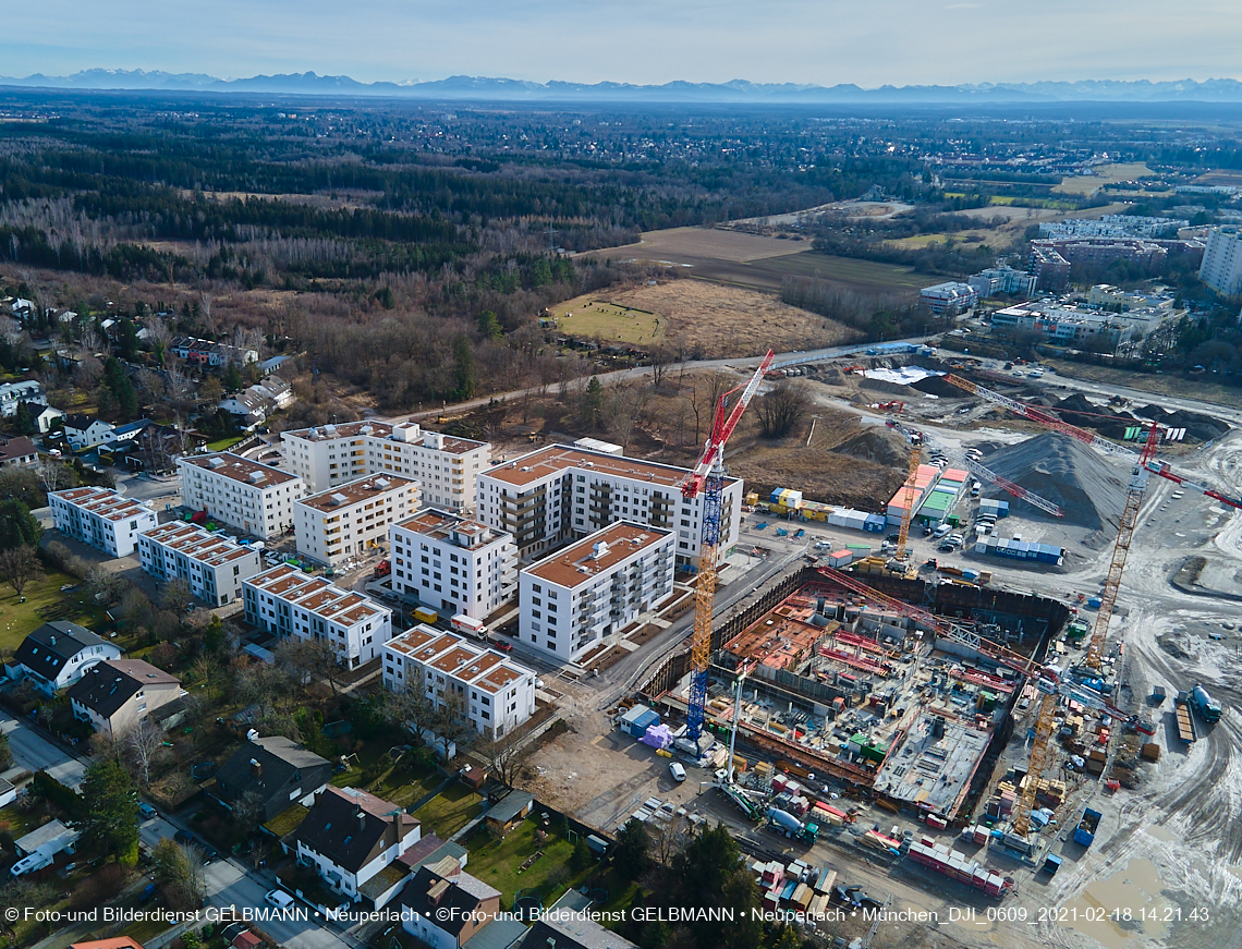18.02.2021 - Alexisquartier und Pandionverde