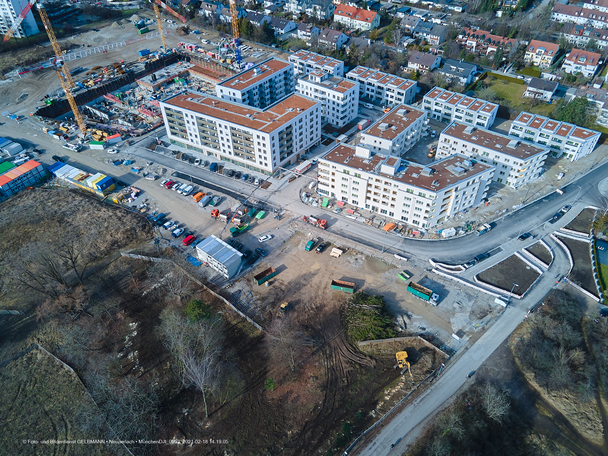 18.02.2021 - Baumfällung im Alexisquartier, dem ehemaligen Piederstorfer-Gelände in Neuperlach
