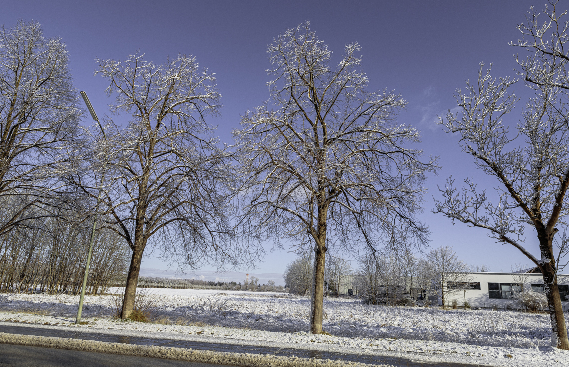 03.01.2025 - Riem-Gronsdorf-Demos-Baustelle
