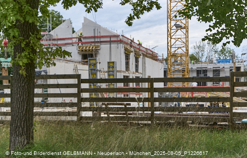05.08.2025 - DEMOS-Baustelle NaturQuartett in Gronsdorf