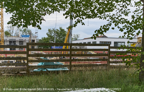 05.08.2025 - DEMOS-Baustelle NaturQuartett in Gronsdorf