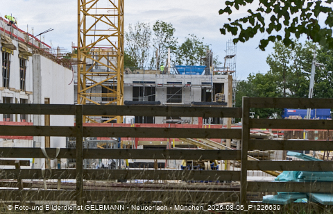 05.08.2025 - DEMOS-Baustelle NaturQuartett in Gronsdorf
