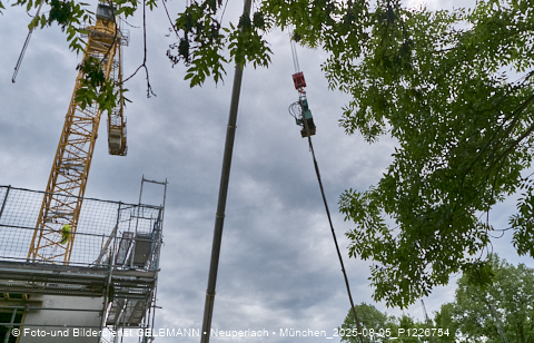 05.08.2025 - DEMOS-Baustelle NaturQuartett in Gronsdorf