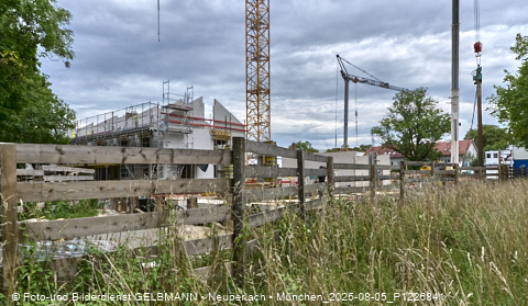 05.08.2025 - DEMOS-Baustelle NaturQuartett in Gronsdorf